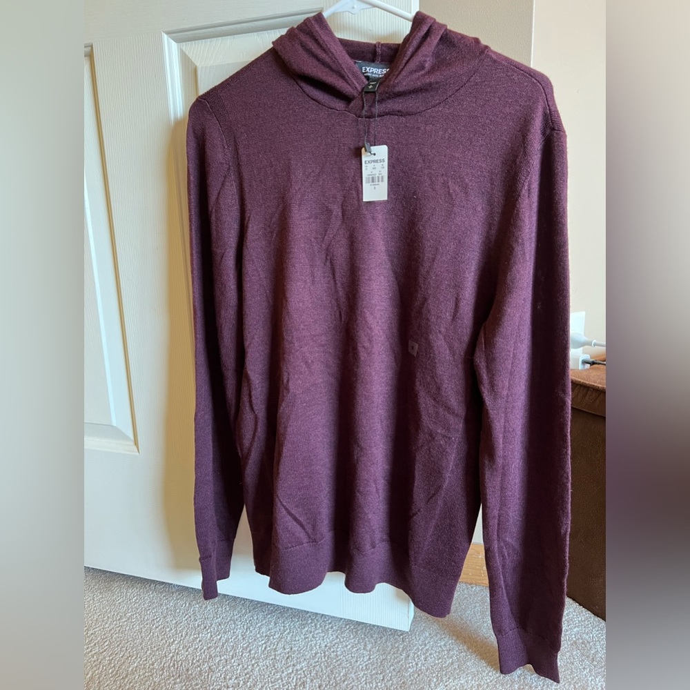 Express Hooded Sweater